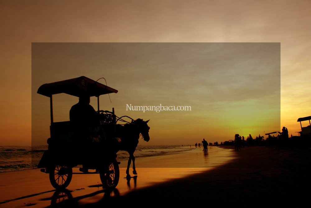 8 Wisata Pantai Jogja Yang Wajib Anda Kunjungi