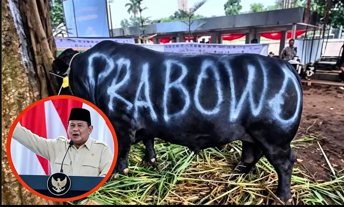 Prabowo’s 1,098 Cows for Sacrifices Purchased Using APBN, Turn in Debt Called State Debt
